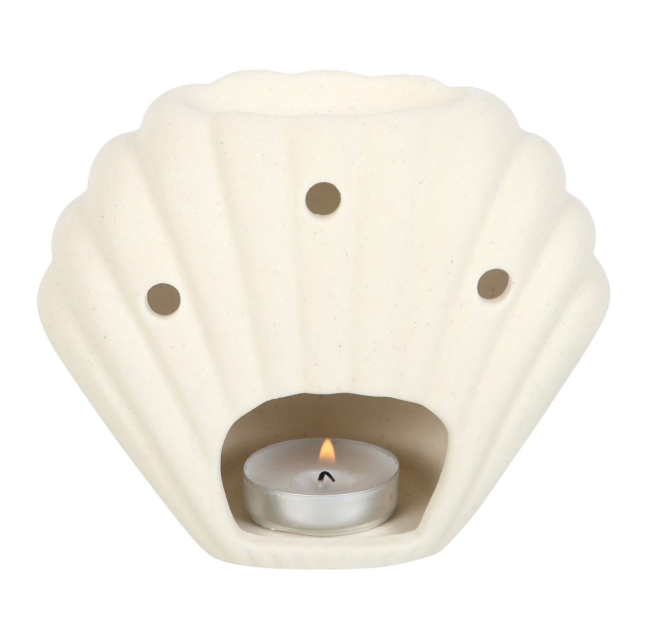 Seashell Burner